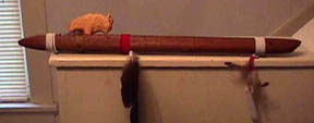 white_buffalo_flute_small.jpg (1440 bytes)